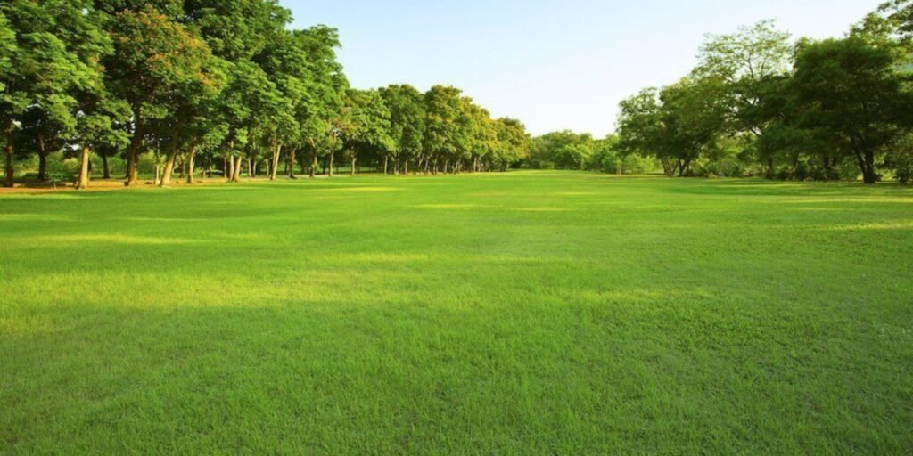 Black Canvas Espadrille Men's Sandals